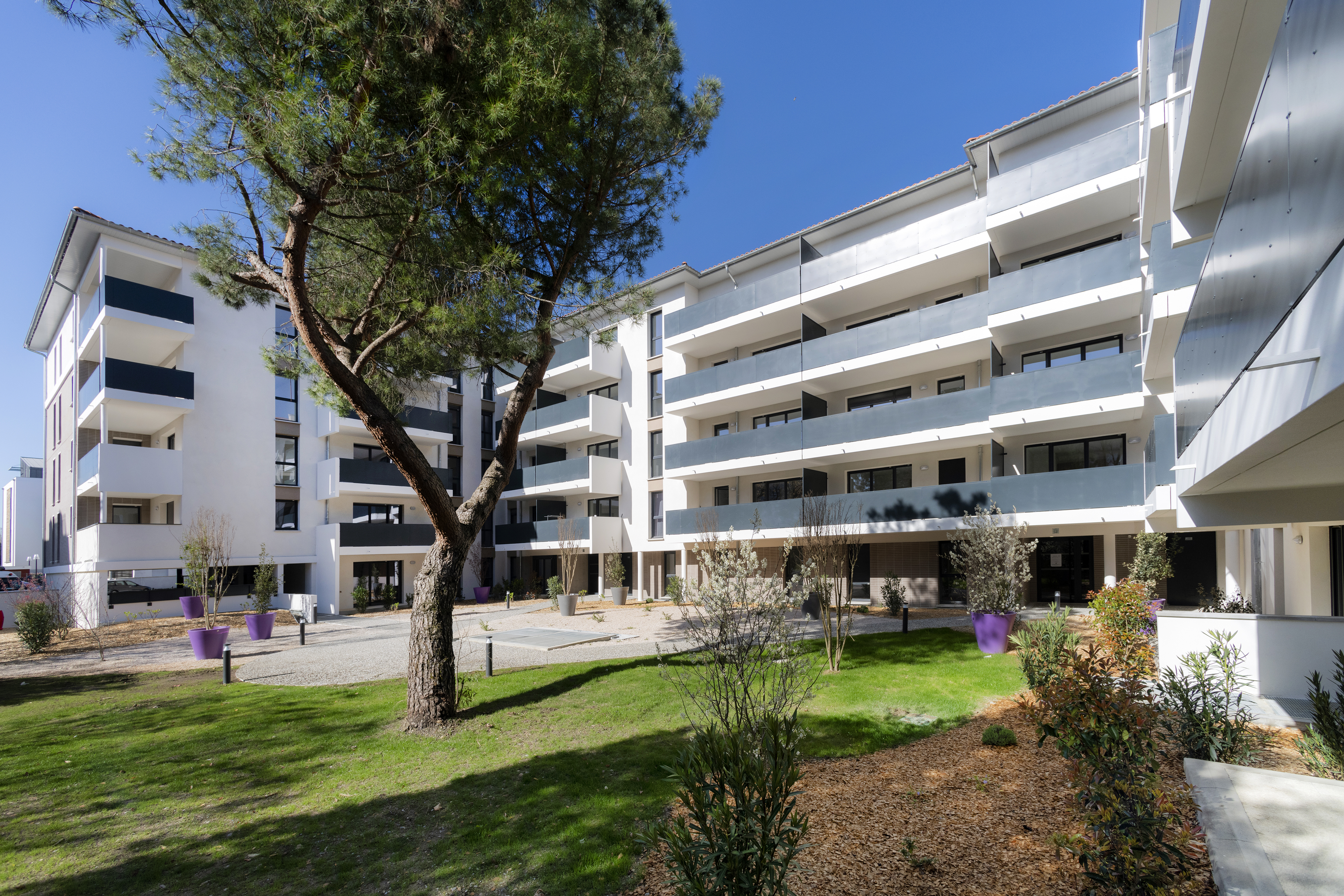 Toulouse (31)