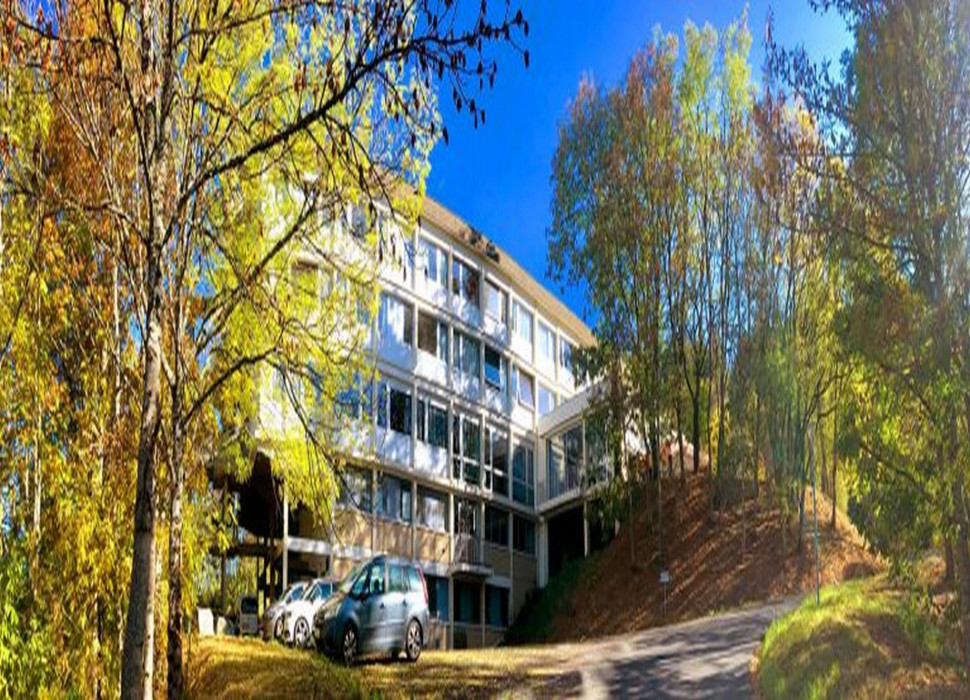 Riom-ès-Montagnes (15)