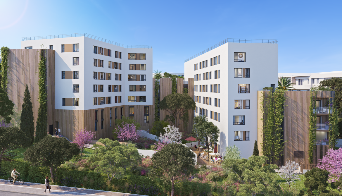 Montpellier (34)
