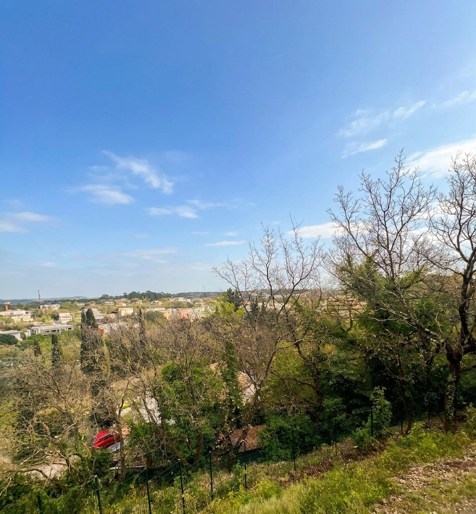 Montpellier-de-Médillan (17)