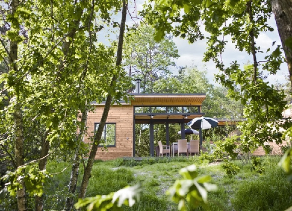 Chaumont-sur-Tharonne (41)