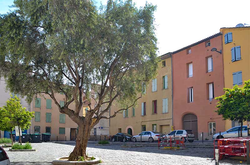 Perpignan (66)