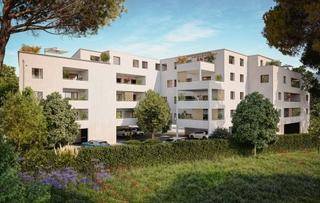 Cavaillon (84)