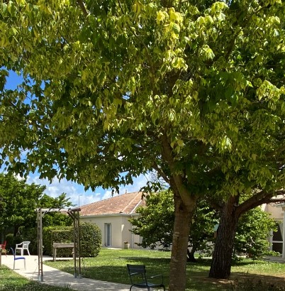 Saint-Palais-sur-Mer (17)