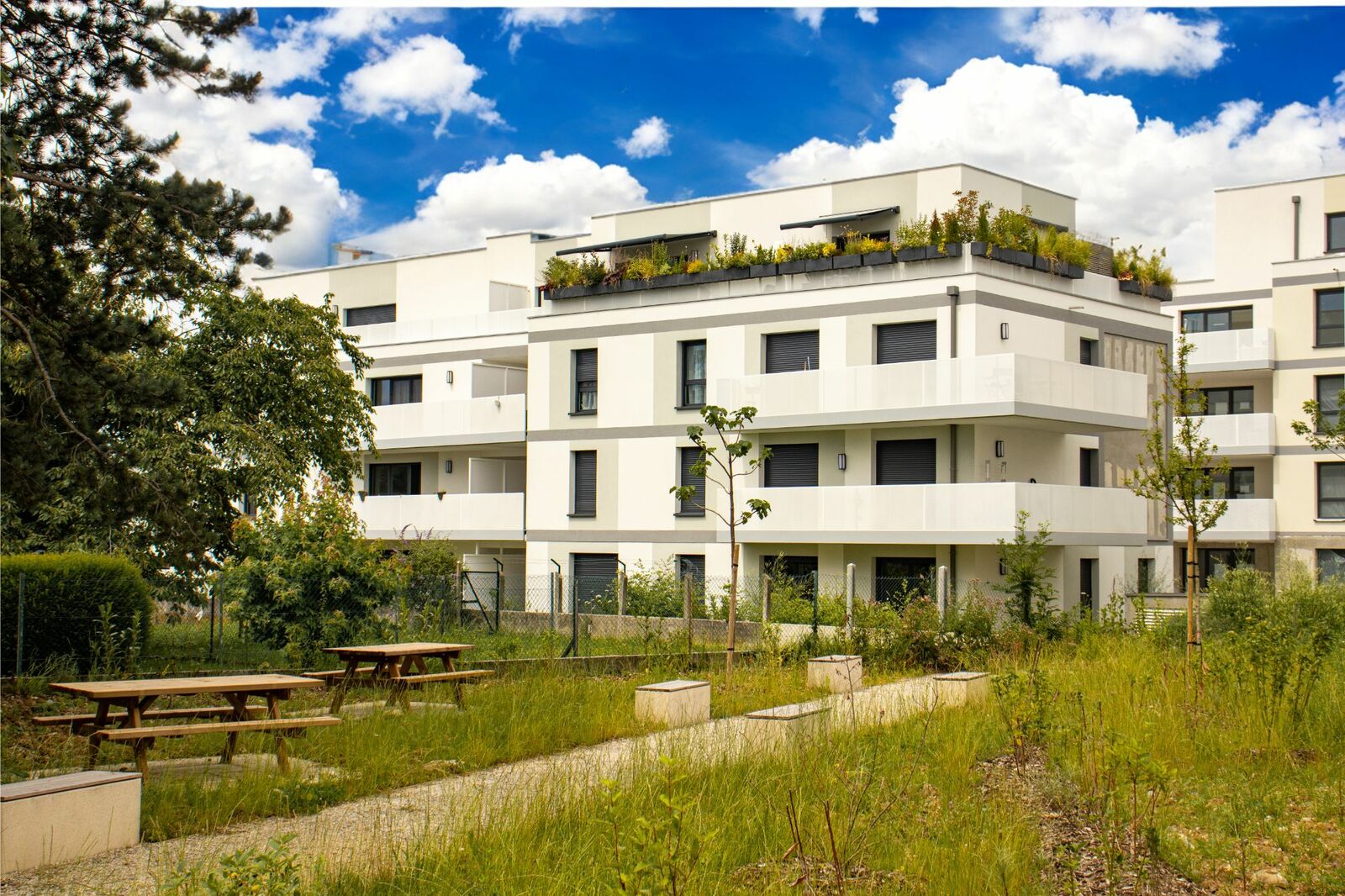 Programme neuf à Saint-Louis – 6 logements – À partir de 299 000 €