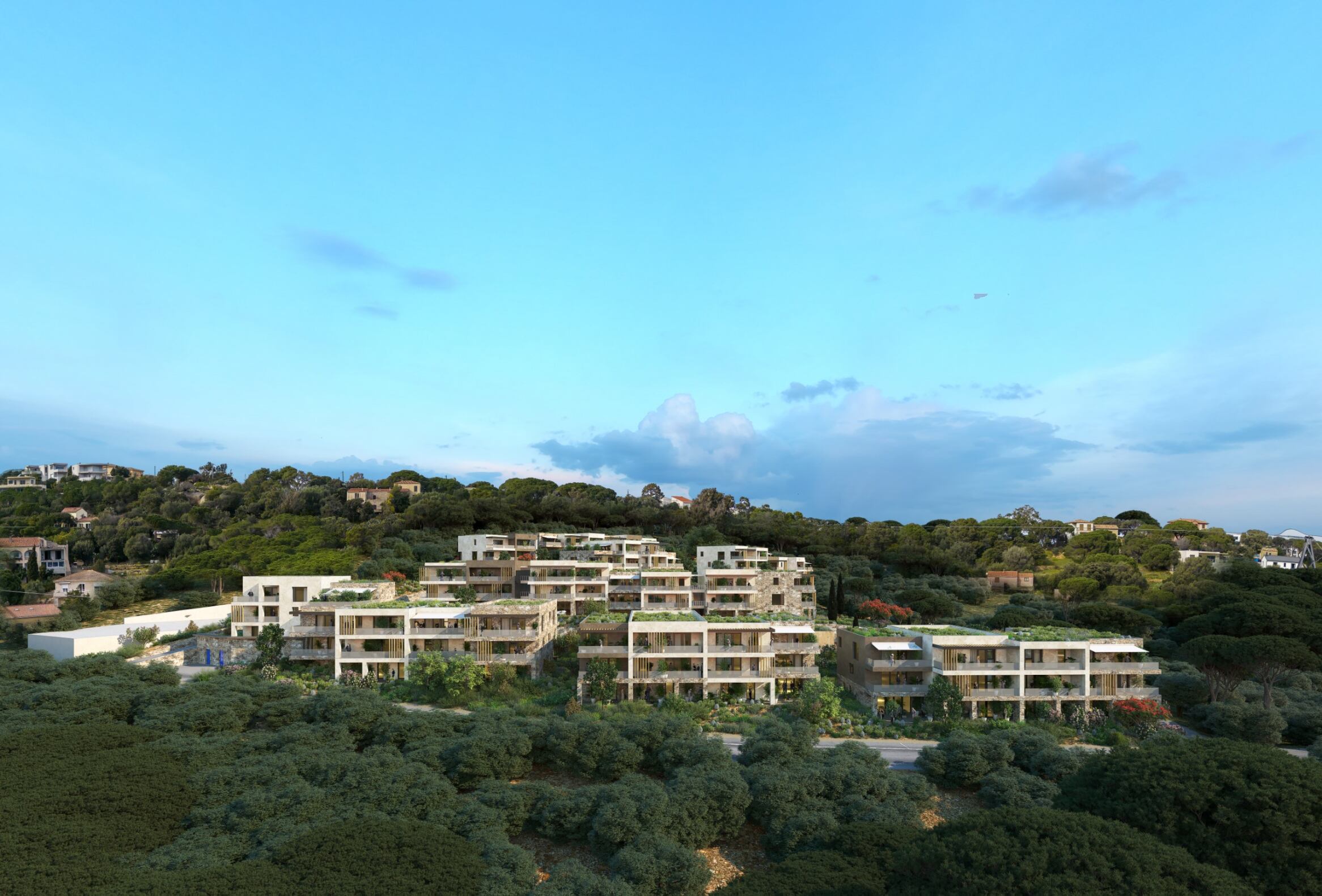 Calvi (2B)