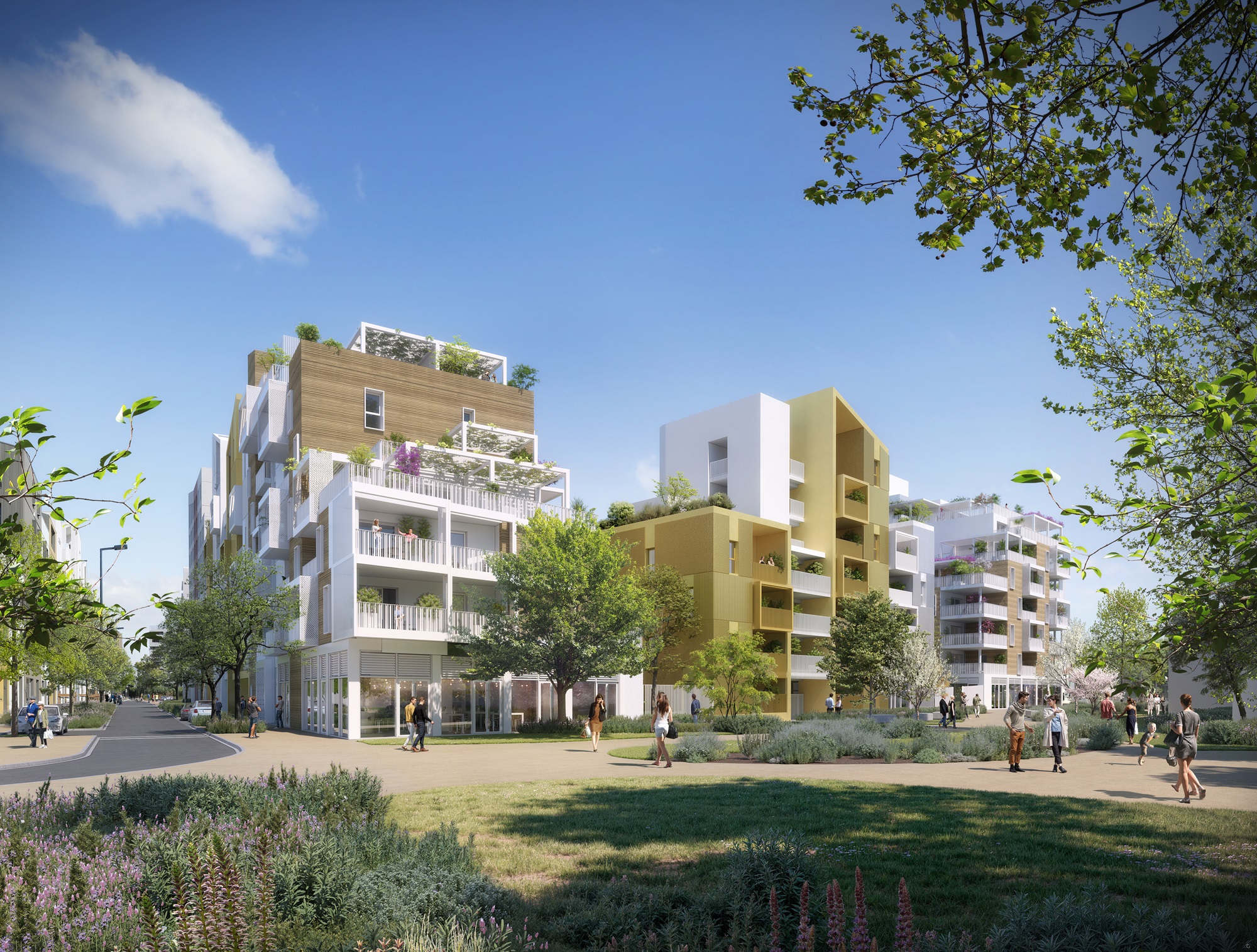 Montpellier (34)